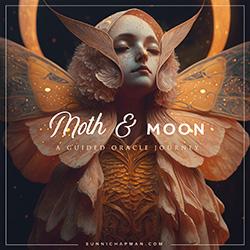 Moth & Moon Guided Oracle Journey