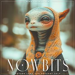 Nowbits: A Guided Oracle Journey